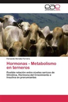 Fernando Heredia Ferreira - Hormonas - Metabolismo en terneros