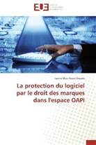 Dissake-I, Ivanne Mara Koum Dissake - La protection du logiciel par le