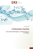 Yosra Annabi, Annabi-y - L intrusion marine