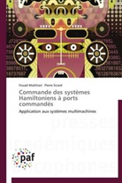 Foua Mokhtari, Fouad Mokhtari, Pierre Sicard - Commande des systemes
