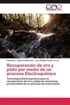 Gabriela Figueroa Martinez, Gabriela V Figueroa Martinez, Gabriela V. Figueroa Martinez, José R Parga Torres, José Refugio Parga Torres - Recuperación de oro y plata por medio de un proceso Electroquímico