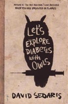 David Sedaris - Let's Explore Diabetes with Owls