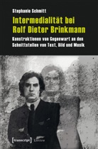 Stephanie Schmitt - Intermedialität bei Rolf Dieter Brinkmann