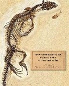 Lance Grande, Grande Lance, Lance Grande, John Weinstein - Lost World of Fossil Lake