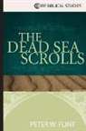 Peter W. Flint - Dead Sea Scrolls