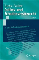Fuch, Maximilia Fuchs, Maximilian Fuchs, Pauker, Werner Pauker - Delikts- und Schadensersatzrecht