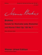Johannes Brahms, Hans-Christia Müller, Hans-Christian Müller - Sonate f-Moll