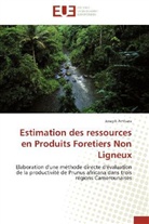 Joseph Ambara, Ambara-j - Estimation des ressources en