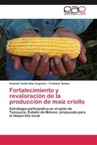 Amanda Yaolli Díaz Anguiano, Amanda Yaollin Díaz Anguiano, Cristóbal Santos - Fortalecimiento y revaloración de la producción de maíz criollo