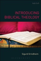 Dr Sigurd Grindheim, Sigurd Grindheim - Introducing Biblical Theology