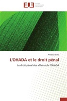 Amidou Djima, Djima-a - L ohada et le droit penal