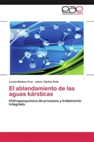 Luvin Bibiano Cruz, Luvina Bibiano Cruz, Jaime Gárfias Soliz - El ablandamiento de las aguas kársticas