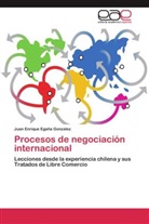 Juan Enrique Egaña Gonzalez - Procesos de negociación internacional