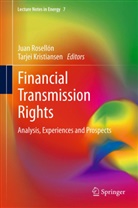 KRISTIANSEN, Kristiansen, Tarjei Kristiansen, Juan Rosell N., Jua Rosellón, Juan Rosellón - Financial Transmission Rights