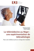 Herbert Degbey, Mariann Laurent, Marianne Laurent, Hamado Saliah, Hamadou Saliah - La telemedecine au niger: une