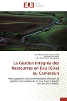 Mathias Fru Fonteh, Alain Rostan Lieunang Letche, Alain Rostand Lieunang Letche, Jules Remy Ndam Ngoupayou - La gestion integree des