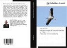 Fweley Diangitukwa, Diangitukwa-f - Methodologie du memoire et de la