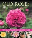Andrew Mikolajski, Mikolajski Andrew, Andrew Mikolaklski - Old Roses