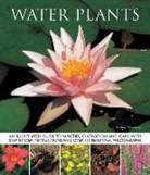 Andrew Mikolajski, Mikolajski Andrew - Water Plants
