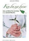 Adolfo Pérez Agustí - Kalanchoe