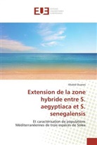 Khaled Ouanes, Ouanes-k - Extension de la zone hybride