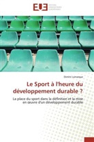 Dimitri Lamarque, Lamarque-d - Le sport a l heure du