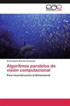 Ariel Antonio Briceño Coronado - Algoritmos paralelos de visión computacional