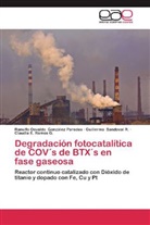 Ranulfo Osvald González Paredes, Ranulfo Osvaldo González Paredes, Claudia E. Ramos G., Guil Sandoval R, Guillermo Sandoval R. - Degradación fotocatalítica de COV's de BTX's en fase gaseosa