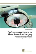 Christian Hansen - Software Assistance in Liver Resection Surgery