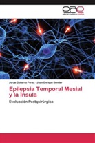 Juan Enrique Bender, Jorg Dobarro Pérez, Jorge Dobarro Pérez - Epilepsia Temporal Mesial y la Ínsula