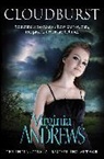Andrews, Virginia Andrews, Andrews Virginia - Cloudburst