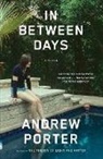 Andrew Porter - In Between Days