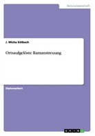 J Micha Kölbach, J. Micha Kölbach - Ortsaufgelöste Ramanstreuung