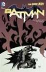 Not Available (NA), Scott Snyder, Various, Various - Batman
