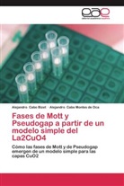 Alejandr Cabo Bizet, Alejandro Cabo Bizet, Alejandr Cabo Montes de Oca, Alejandro Cabo Montes de Oca - Fases de Mott y Pseudogap a partir de un modelo simple del La2CuO4