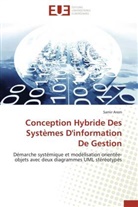 Samir Arem, Arem-s - Conception hybride des systemes d