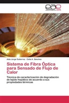 Aldo Jorg Gutierrez, Aldo Jorge Gutierrez, Celia A Sánchez, Celia A. Sánchez - Sistema de Fibra Óptica para Sensado de Flujo de Calor