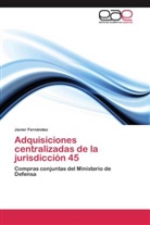 Javier Fernández - Adquisiciones centralizadas de la jurisdicción 45