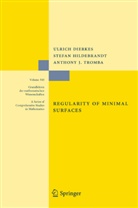 Ulric Dierkes, Ulrich Dierkes, Stefa Hildebrandt, Stefan Hildebrandt, Anthon Tromba, Anthony Tromba - Regularity of Minimal Surfaces