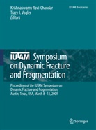 J Vogler, J Vogler, Krishnaswam Ravi-Chandar, Krishnaswamy Ravi-Chandar, Tracy J. Vogler - IUTAM Symposium on Dynamic Fracture and Fragmentation