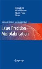 Miche Meunier, Michel Meunier, Alberto Piqué, Koji Sugioka - Laser Precision Microfabrication
