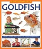 David Alderton, Alderton David, Alderton David - How to Look After Your Goldfish