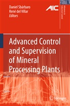 Del Villar, Del Villar, René Del Villar, Danie Sbárbaro, Daniel Sbárbaro, René Villar - Advanced Control and Supervision of Mineral Processing Plants