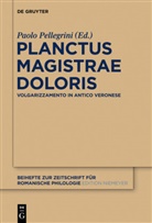 Paol Pellegrini, Paolo Pellegrini - Planctus Magistrae Doloris