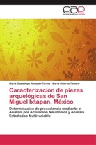 María Guadalup Almazán-Torres, María Guadalupe Almazán-Torres, María Dol Tenorio, María Dolores Tenorio - Caracterización de piezas arquelógicas de San Miguel Ixtapan, México