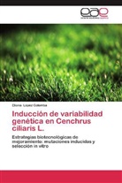 Eliana López Colomba - Inducción de variabilidad genética en Cenchrus ciliaris L.