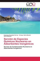 Virineya Bertin Mardel, Silvia Bulbulian, Francisc Granados Correa, Francisco Granados Correa - Sorción de Especies Químicas Nucleares en Adsorbentes Inorgánicos