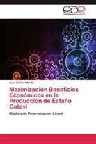 Juan Carlos Alborta - Maximización Beneficios Económicos en la Producción de Estaño Catavi