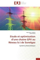 Saidi Hemza, Hadj Atto Radhia, Hadj Attou Radhia - Etude et optimisation d une