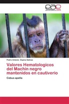 Pedro Antonio Ospina Salinas - Valores Hematologicos del Machin negro mantenidos en cautiverio
